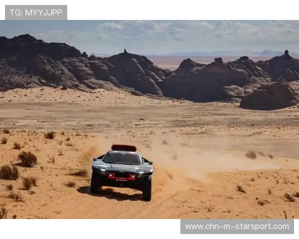 赛车比赛数据驱动战术优化分析(468 ) 赛车比赛数据驱动战术优化分析(468 )