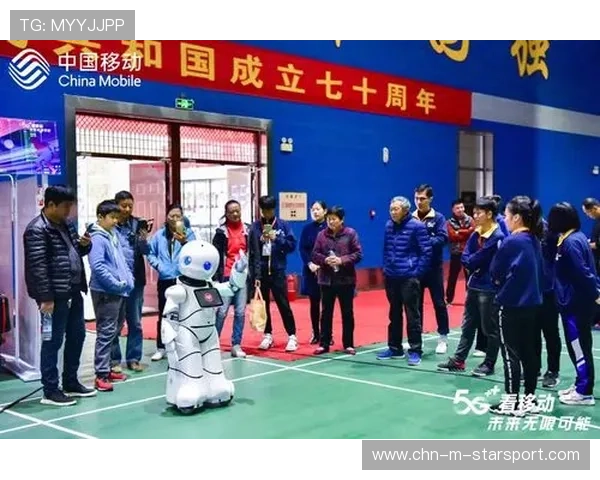 世界网球赛事观众多元化营销策略成果汇报，网球产业市场营销策划书